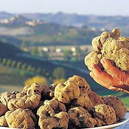 Agorà